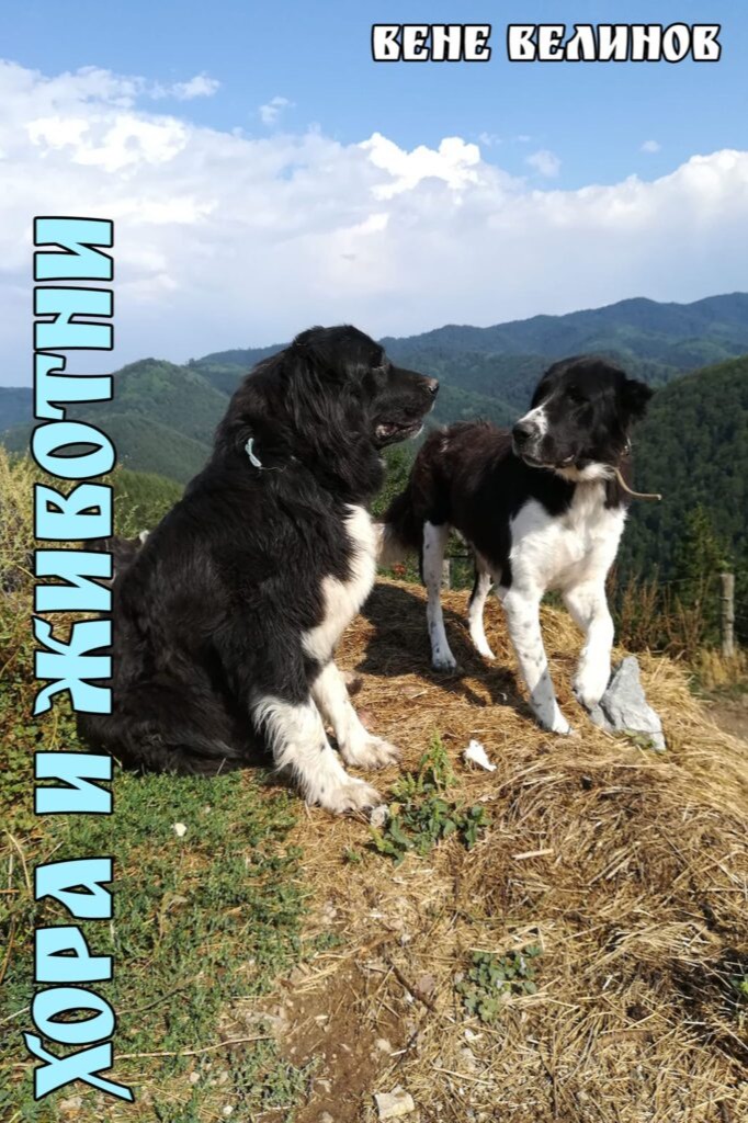 Хора и животни